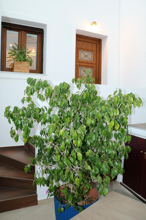 Angelica'S Deluxe Rooms In Adamas Exteriör bild